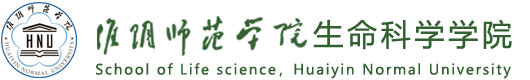 德赢ac米兰合作伙伴